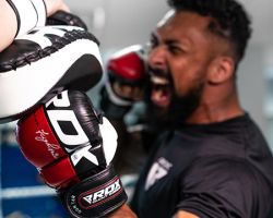 tienda de insumos para artes marciales naucalpan de juarez Capital Dojo - Adidas Martial Arts Official Store